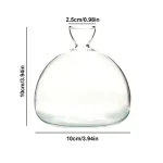 Vaso di vetro trasparente con collo lungo, diametro di 10 cm e altezza di 10 cm, ideale per esperimenti scientifici e decorazioni.