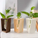 Tre piante verdi in vasi di legno di diversi colori (marrone, naturale, bianco) posizionate su una superficie bianca, ideali come decorazioni scientifiche e per ambienti domestici.