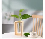 Vaso in legno con una pianta verde in un interno moderno, decorazione naturale ed elegante per la casa o l'ufficio.