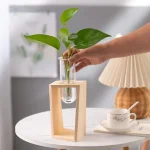 Pianta in vaso con supporto di legno, decorazione scientifica elegante, ideale per ambienti moderni e studi scientifici.
