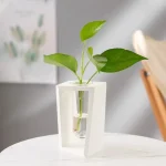 Pianta verde in vaso scientifico bianco su superficie bianca, decorazione moderna e minimalista, ideale per ambienti di studio o ufficio.