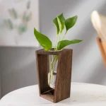 Vaso decorativo in legno con pianta in provetta di vetro, elemento di design scientifico e naturale per arredamento elegante e originale.