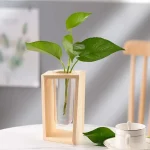 Vaso decorativo con pianta verde in vetro e cornice di legno, ideale come oggetto scientifico e decorativo per la casa o l'ufficio.