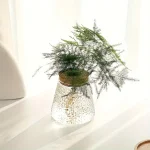Pianta decorativa in vaso di vetro con foglie verdi delicate, perfetta come oggetto scientifico o decorativo per ambienti moderni e minimalisti.