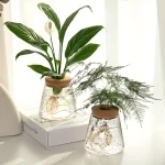 Piante scientifiche in vasi di vetro decorativi, perfette come oggetti di arredamento e decorazioni scientifiche per ambienti moderni e studi.