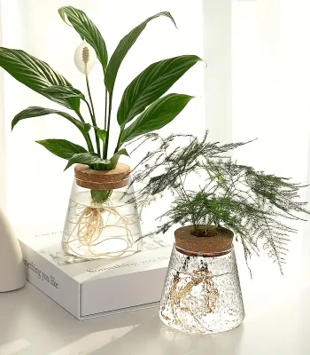 Piante scientifiche in vasi di vetro decorativi, perfette come oggetti di arredamento e decorazioni scientifiche per ambienti moderni e studi.
