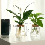 Pianta decorativa in vaso di vetro con foglie verdi e radici visibili, ideale per decorazioni scientifiche e ambienti moderni.