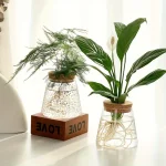 Due piante in vasi di vetro con decorazioni scientifiche, ideali come oggetti decorativi e educativi, perfetti per appassionati di scienza e natura.