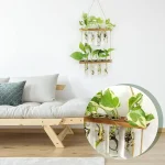 Piante in provette di laboratorio come decorazione moderna per interni, con supporto in legno e vasi di vetro, ideale per un ambiente innovativo e naturale.