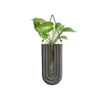 Pianta in sospensione in vaso decorativo scientifico, design moderno e originale, perfetto come decorazione per ambienti di studio o ufficio.