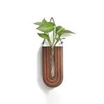 Pianta in vaso decorativo in stile moderno, appesa a una lampada a forma di U in legno, ideale come oggetto scientifico e decorativo per ambienti interni.
