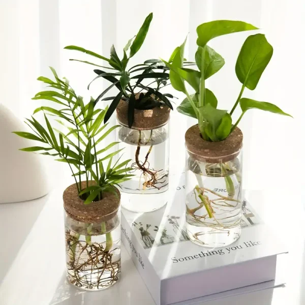 Piante in barattoli di vetro con radici visibili, decorazioni scientifiche e oggetti botanici per ambienti moderni.
