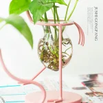 Supporto per piante in vetro con struttura rosa, ideale per decorazioni scientifiche e oggetti di design. Perfetto per appassionati di botanica e decorazioni moderne.